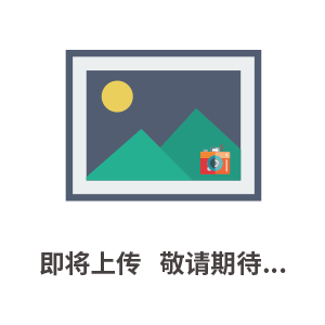 高频近区电场测量仪